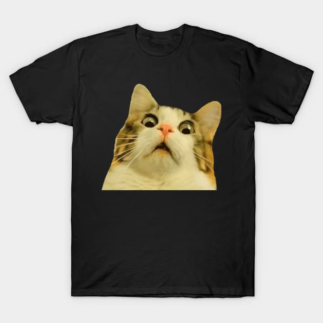 Surprised cat T-Shirt by LaRaf97